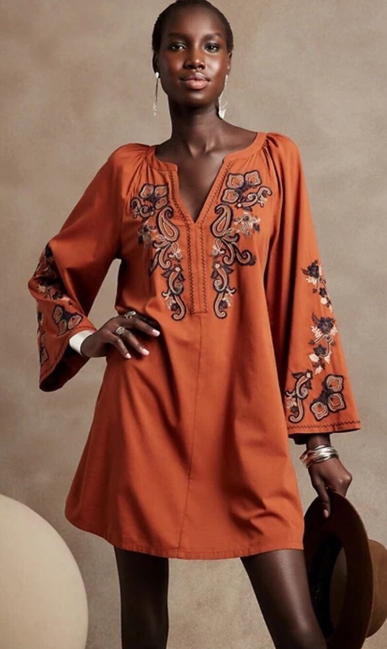 Banana Republic Embroidered Mini Dress Boho Chic Flair Sleeve M Arabian Spice